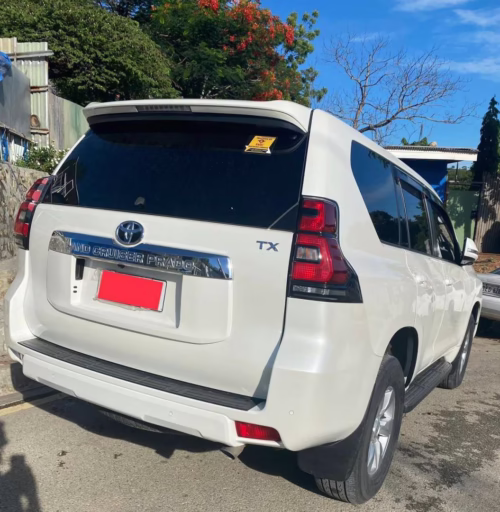Prado Land Cruiser Body Sticker Japan spec - Image 3